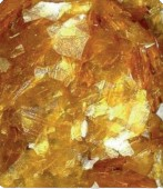 Golden Shellac